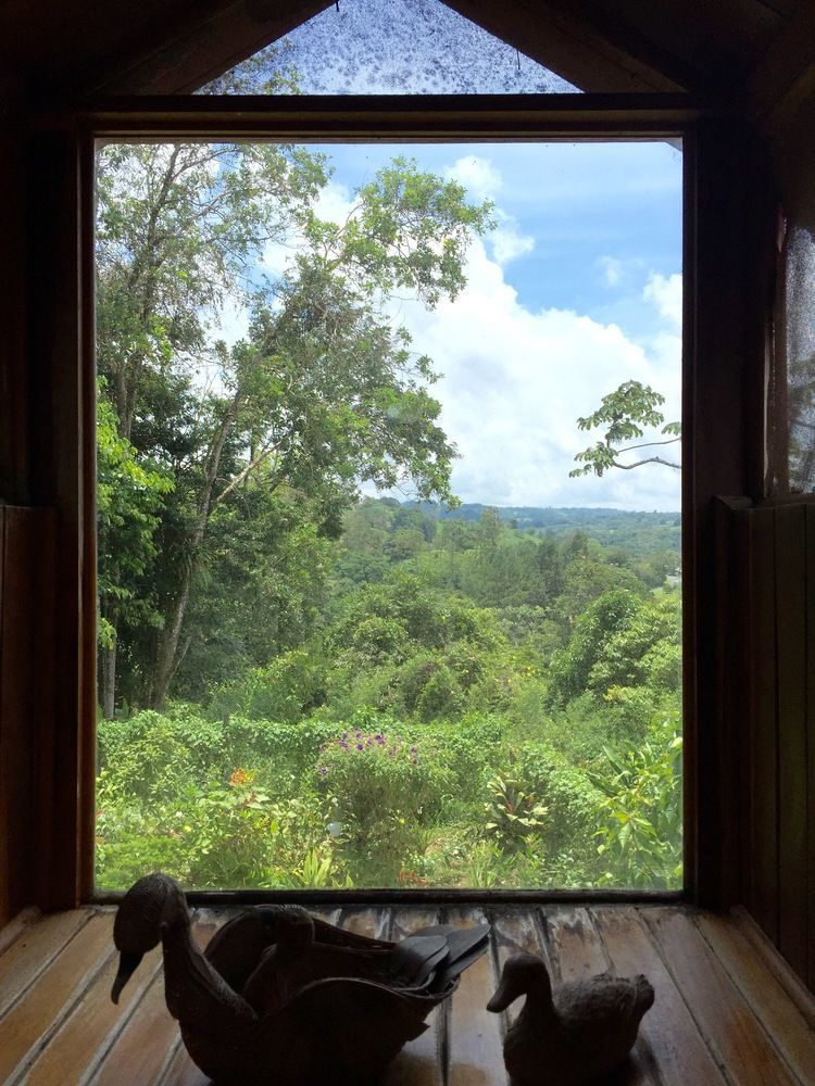 Chalet Nicholas Bed & Breakfast Nuevo Arenal Ngoại thất bức ảnh
